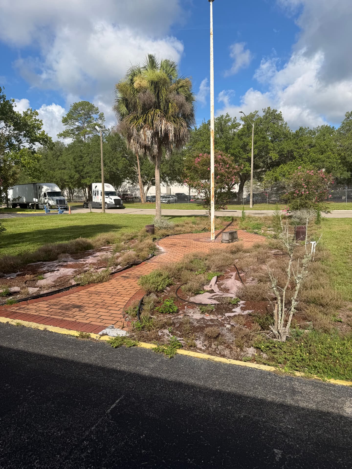 Flagpole bed with weedy, washed-out mulch and struggling plants before service