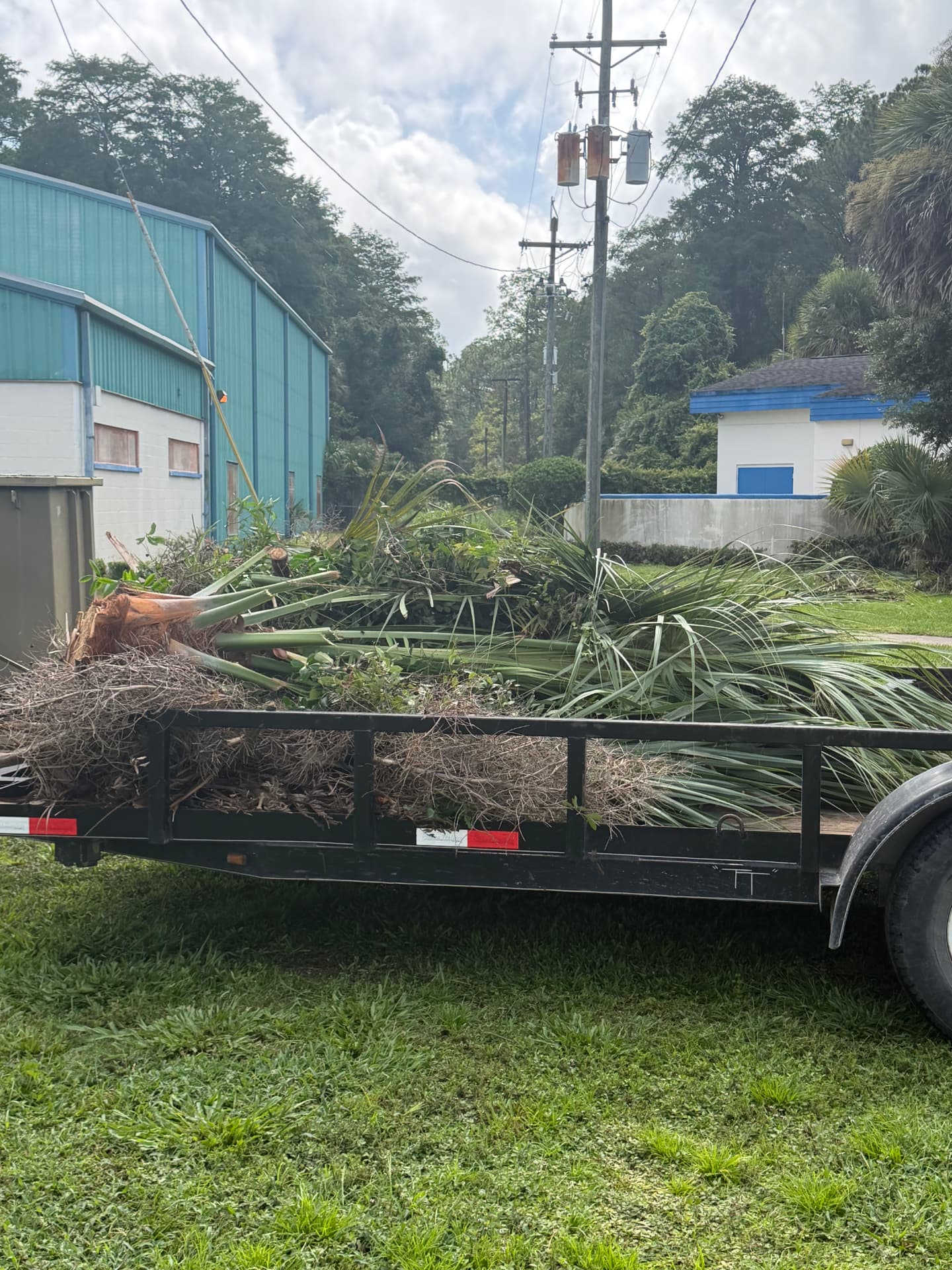 Crew loading palm fronds and storm debris into a truck at a commercial property