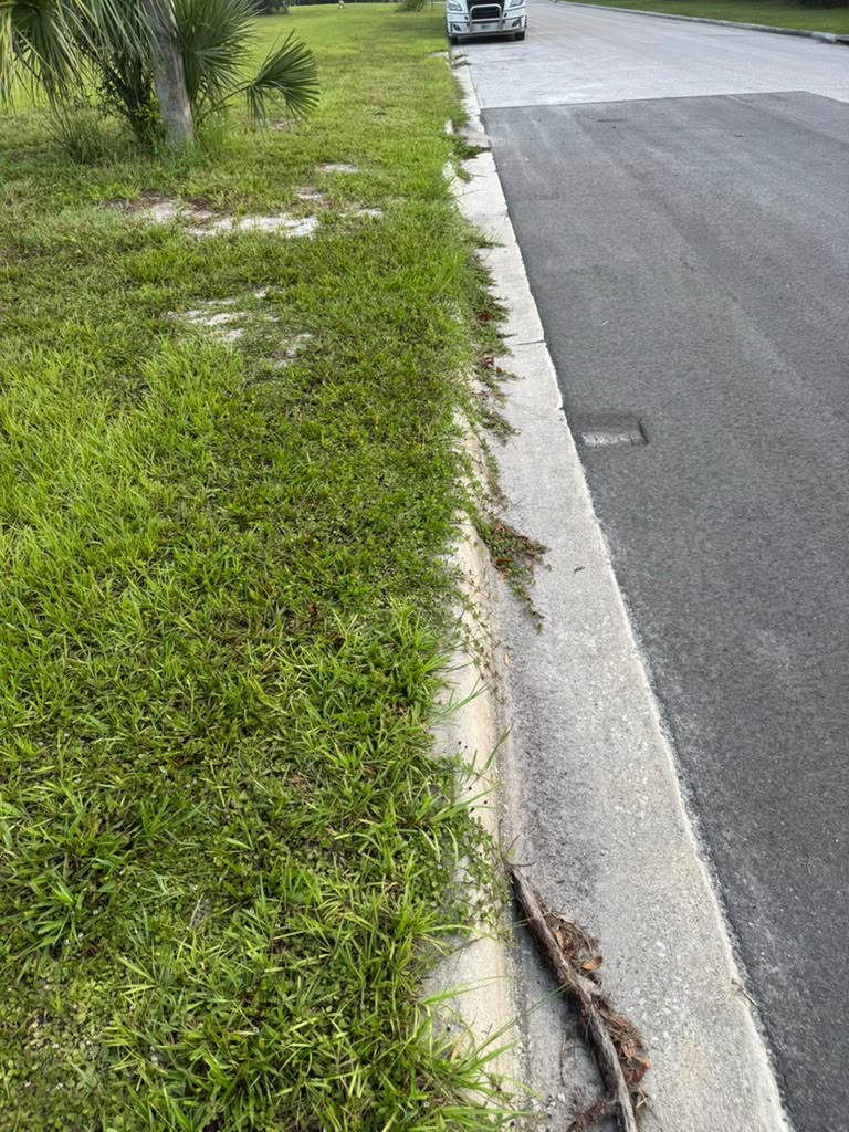 Grass and weeds growing over the curb line before edging