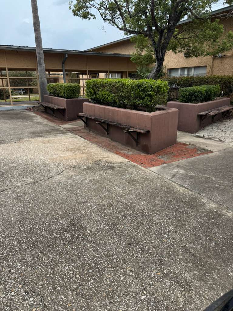 The same courtyard with shaped hedges and swept, debris-free concrete after cleanup